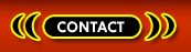 Transsexuals Phone Sex Contact Chicago
